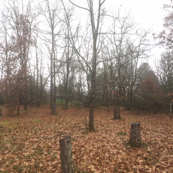 Offres de vente Terrain Castelnau-d'Estrétefonds 31620