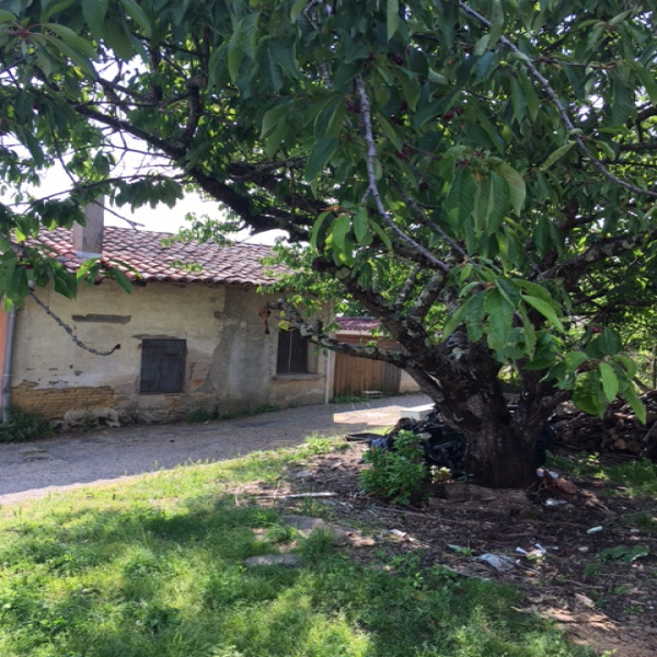 Offres de vente Maison Aucamville 82600